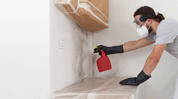 Professional Black Mold Remediation technician working in Copiague, NY